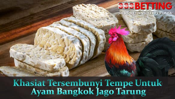 Khasiat-Tersembunyi-Tempe-Untuk-Ayam-Bangkok-Jago-Tarung